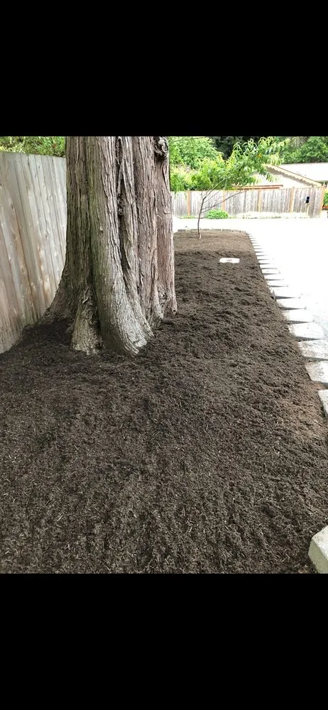 Affordable landscaping services in Bothell, WA by Will Show Lawn Care