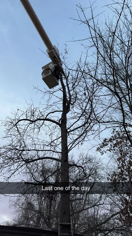 Affordable lawn care service for beautiful yards in Grenada, MS by Will Squared Tree Service