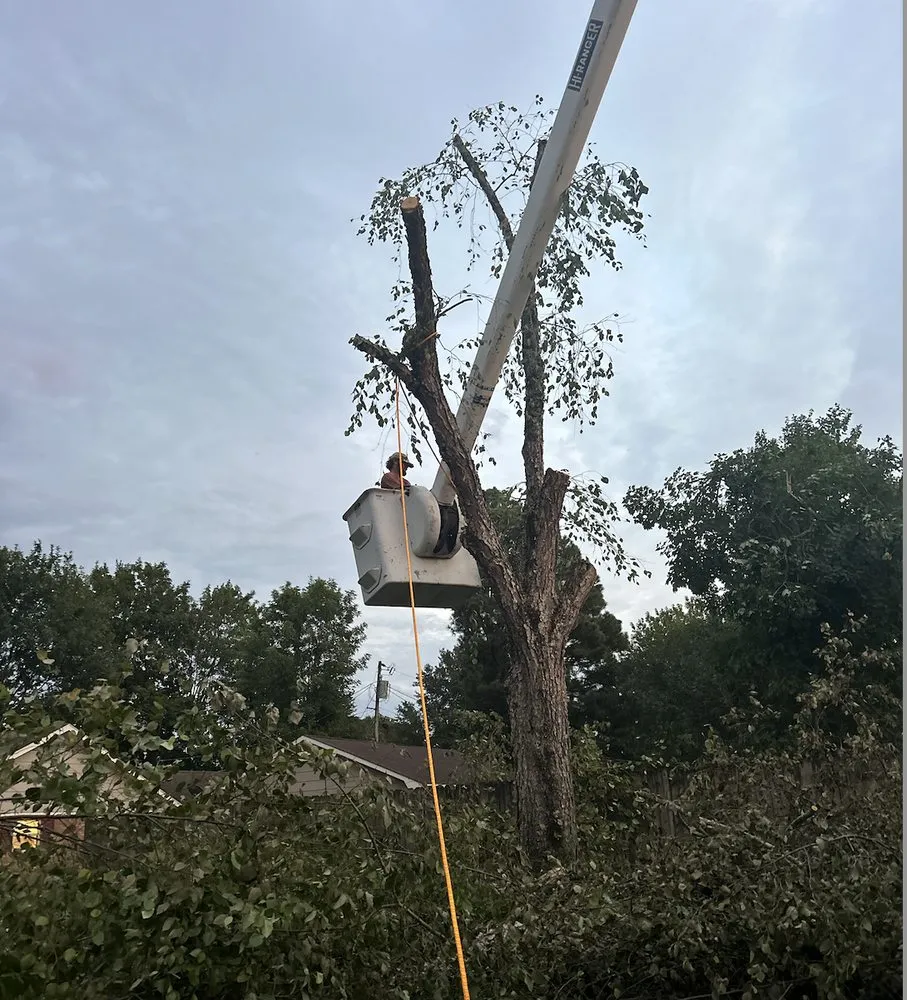 Trusted outdoor landscaping for residential properties across Grenada, MS - Will Squared Tree Service