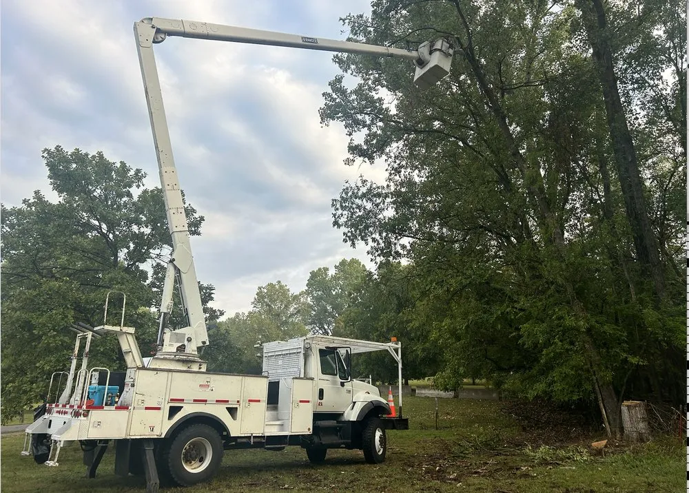 Professional landscape installation for residential properties in Grenada, MS by Will Squared Tree Service
