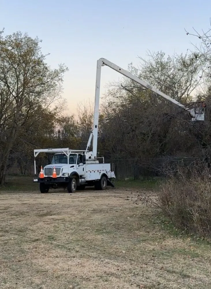 Professional yard maintenance with custom design across Grenada, MS - Will Squared Tree Service