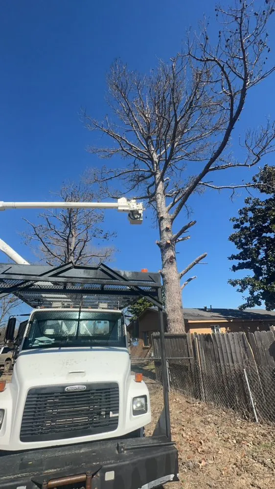 Affordable landscape installation near you across Grenada, MS - Will Squared Tree Service