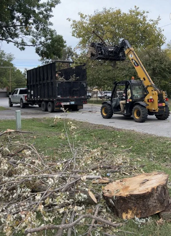 Expert landscaping services in Grenada, MS - Will Squared Tree Service