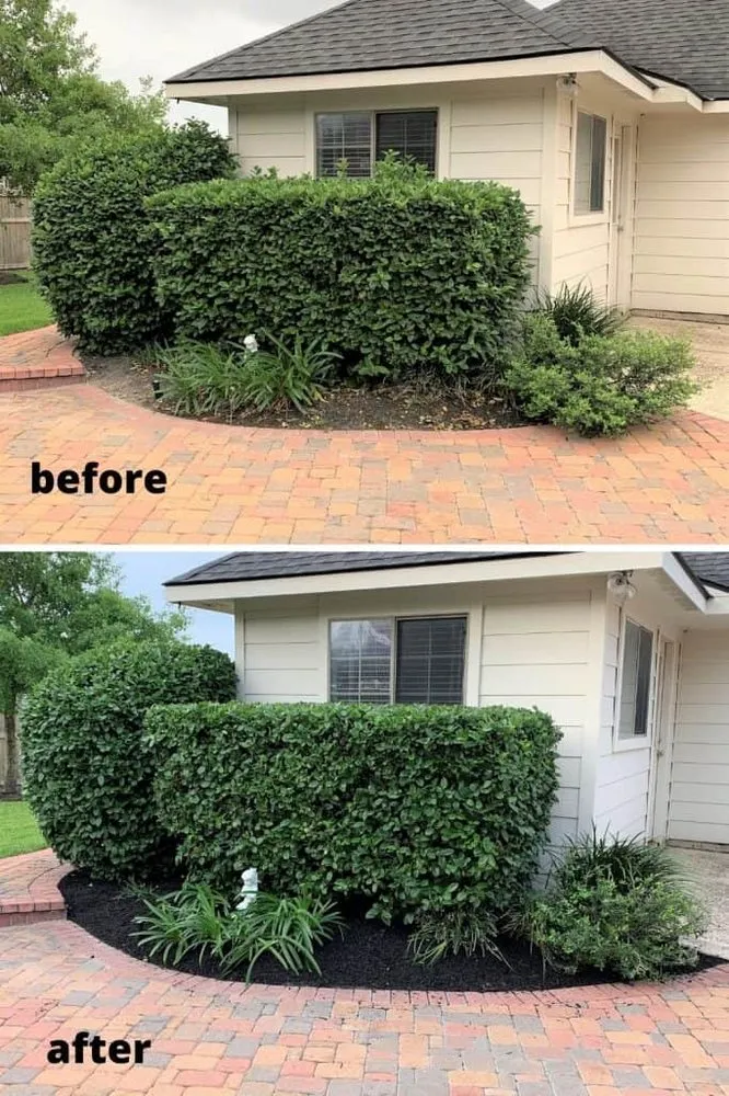 Custom landscaping services in Jackson, MS by Will Way Lawn Care