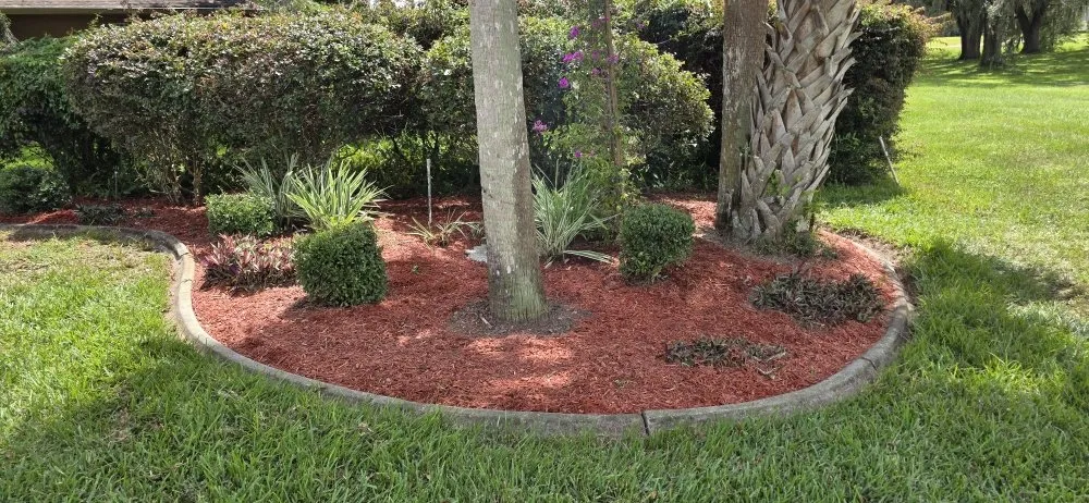 Reliable lawn mowing service for year-round maintenance across Dade City, FL - Will Works Wonders