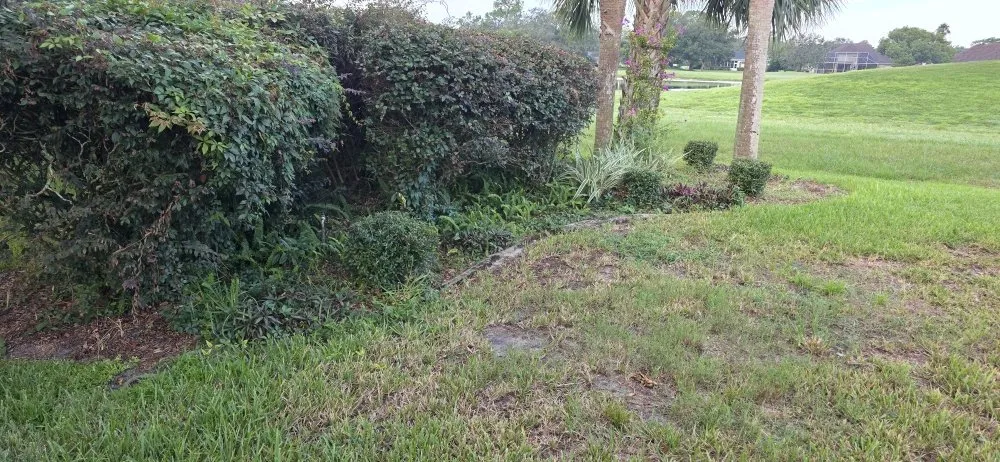 Reliable lawn mowing service in Dade City, FL by Will Works Wonders