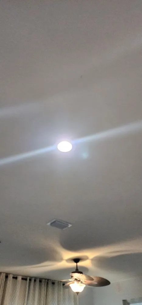 Trusted landscape design for beautiful yards across Dade City, FL - Will Works Wonders