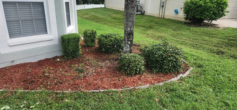 Custom lawn care service in Dade City, FL - Will Works Wonders