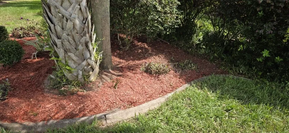 Custom yard cleanup service in Dade City, FL - Will Works Wonders
