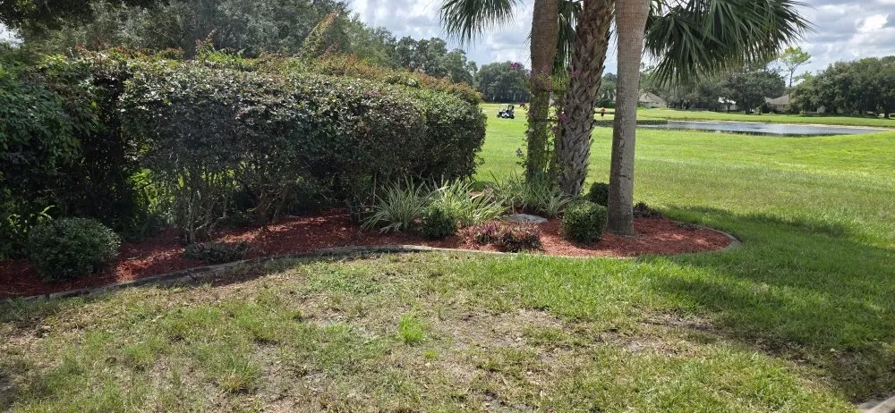 Affordable landscaping services in Dade City, FL by Will Works Wonders