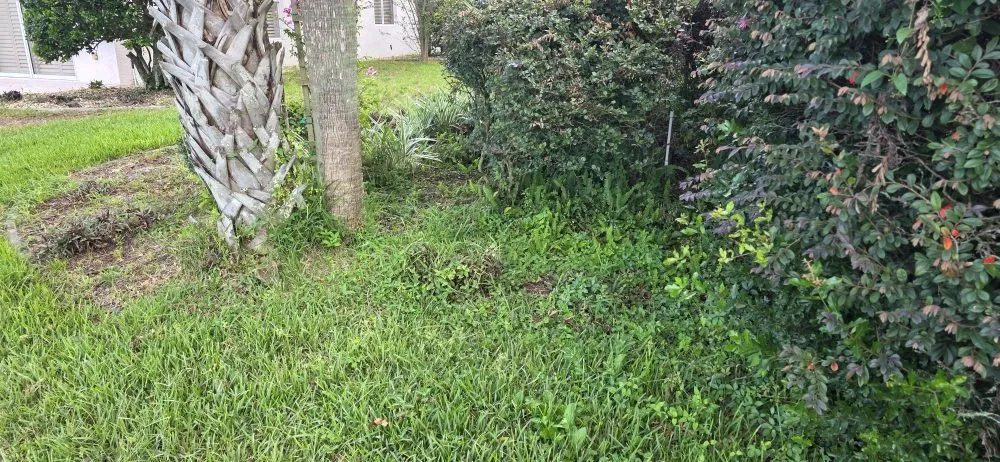 Professional lawn mowing service for homes across Dade City, FL - Will Works Wonders