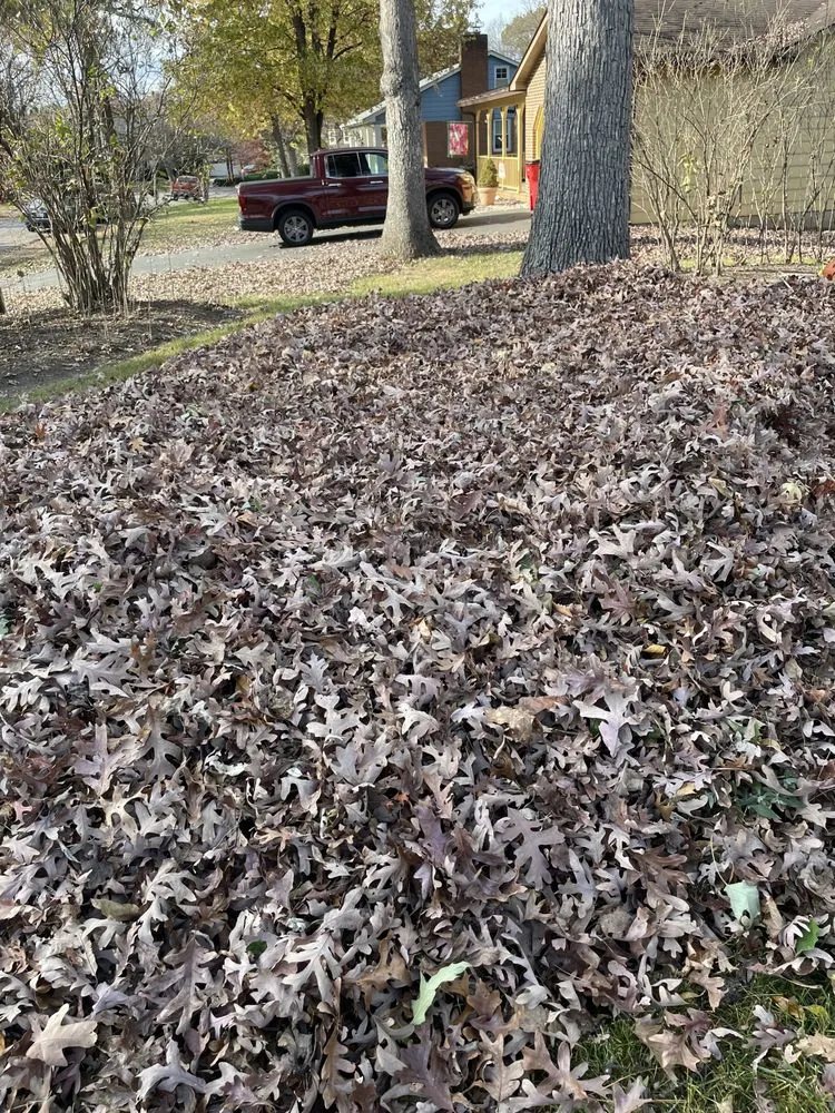 Expert lawn care service near you across Winchester, VA - Will Y Son Landscape