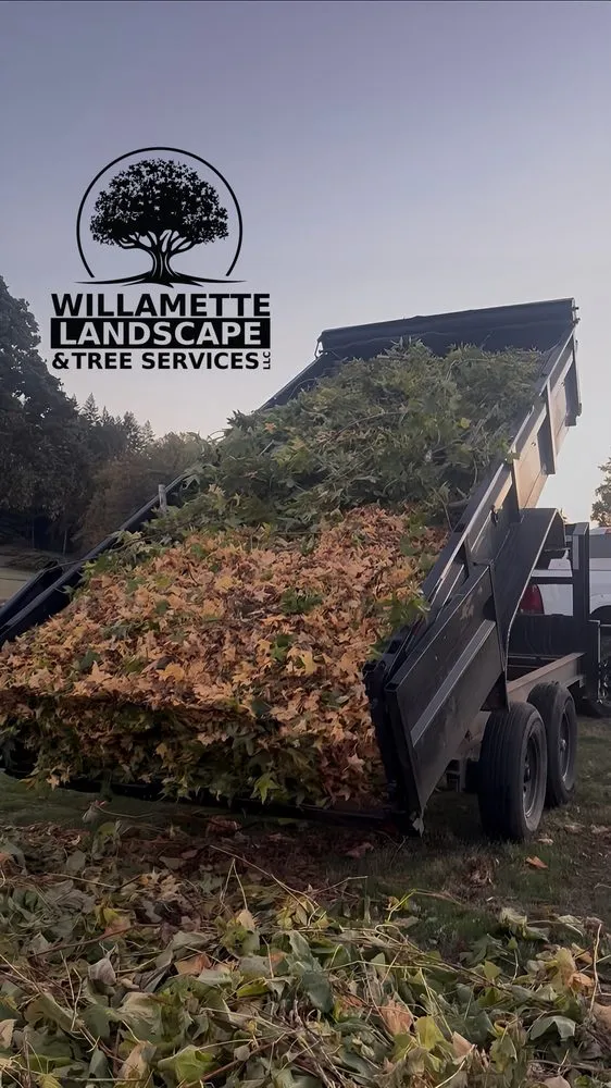 Professional yard cleanup service experts serving Albany, OR - Willamette Landscaping And Tree Services