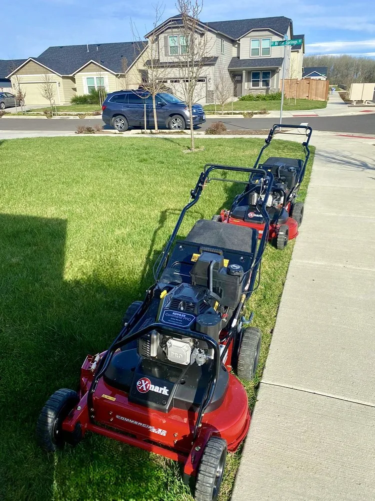 Professional garden landscaping in Albany, OR by Willamette Landscaping And Tree Services