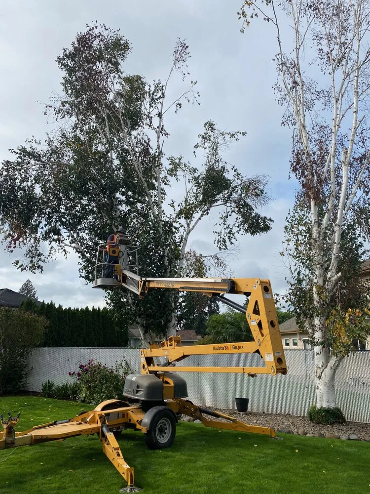 Professional landscape installation experts serving Albany, OR - Willamette Landscaping And Tree Services