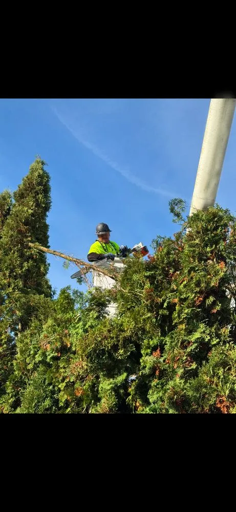 Reliable garden landscaping for homes in Albany, OR by Willamette Landscaping And Tree Services