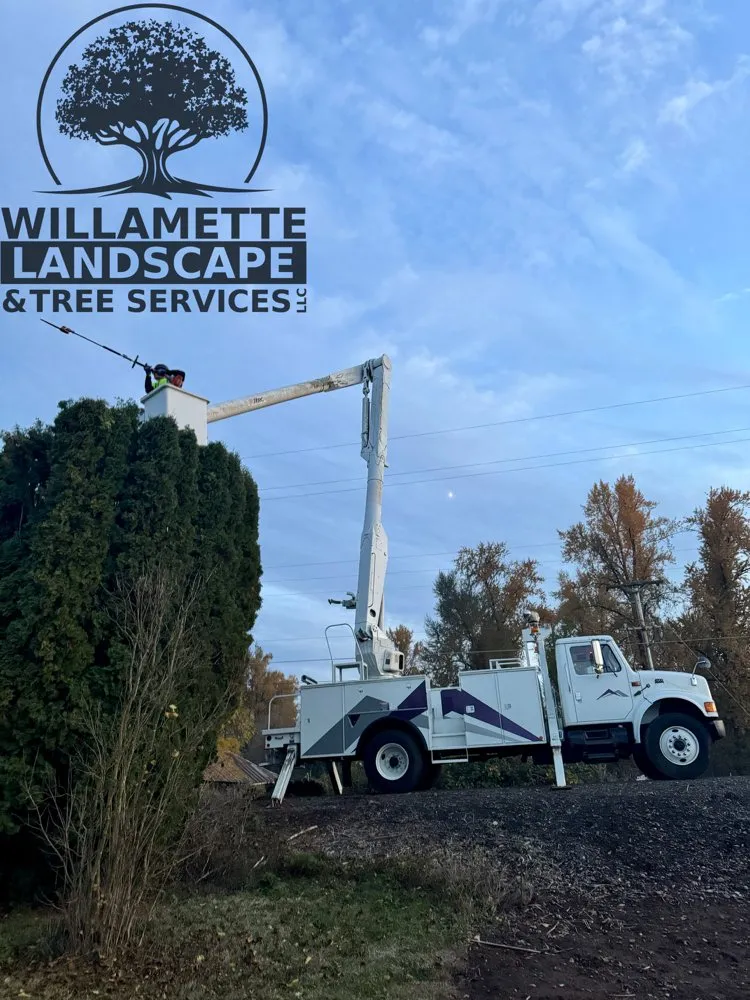 Affordable yard maintenance in Albany, OR - Willamette Landscaping And Tree Services