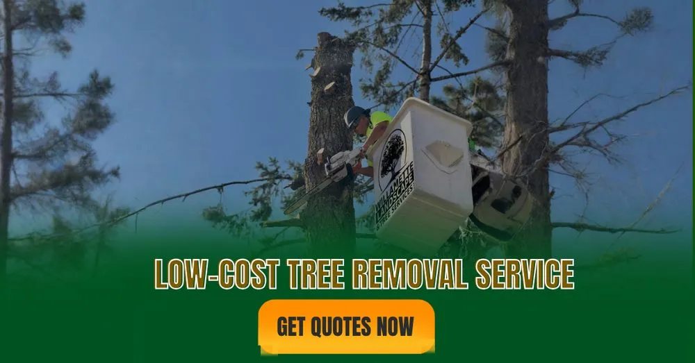 Trusted landscape installation experts serving Albany, OR - Willamette Landscaping And Tree Services