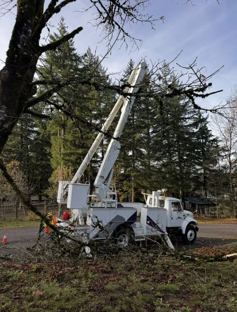 Professional residential landscaping experts serving Albany, OR - Willamette Landscaping And Tree Services