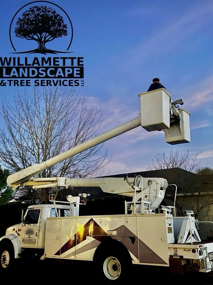 Reliable garden landscaping in Albany, OR by Willamette Landscaping And Tree Services