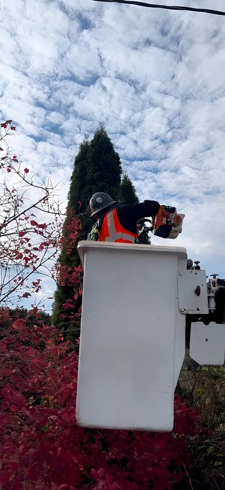 Custom landscape installation in Albany, OR by Willamette Landscaping And Tree Services