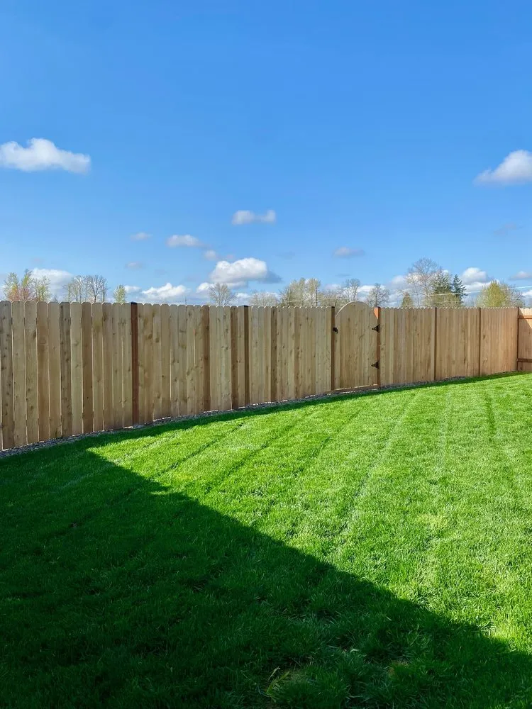 Top-rated lawn care service in Albany, OR by Willamette Landscaping And Tree Services