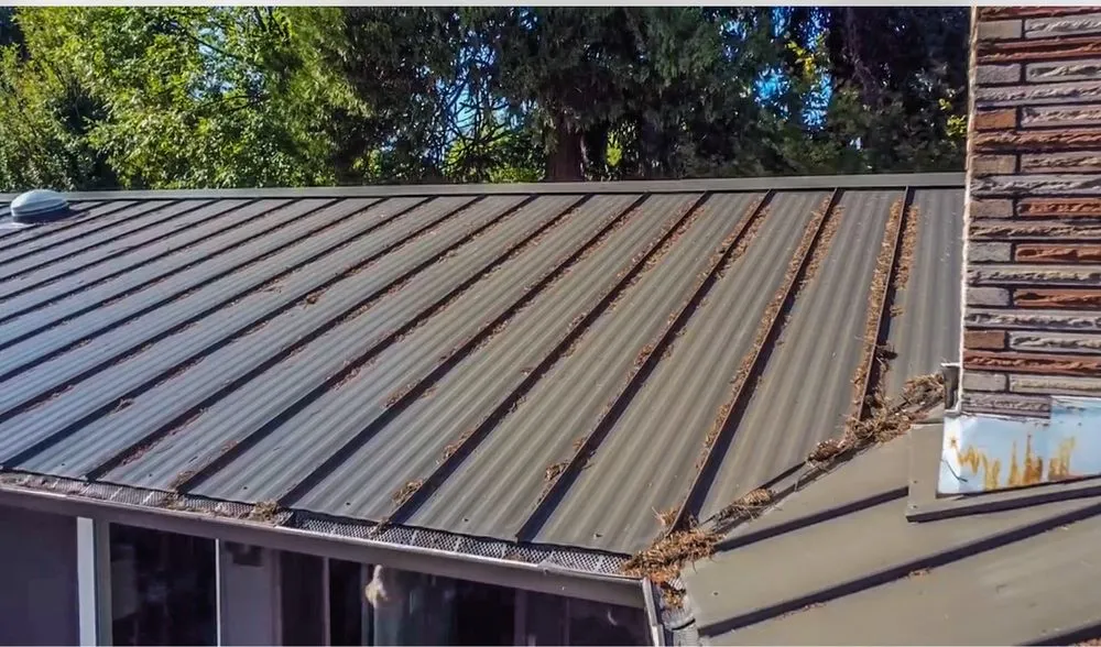 Trusted yard maintenance near you across Eugene, OR - Willamette Valley Handyman Service