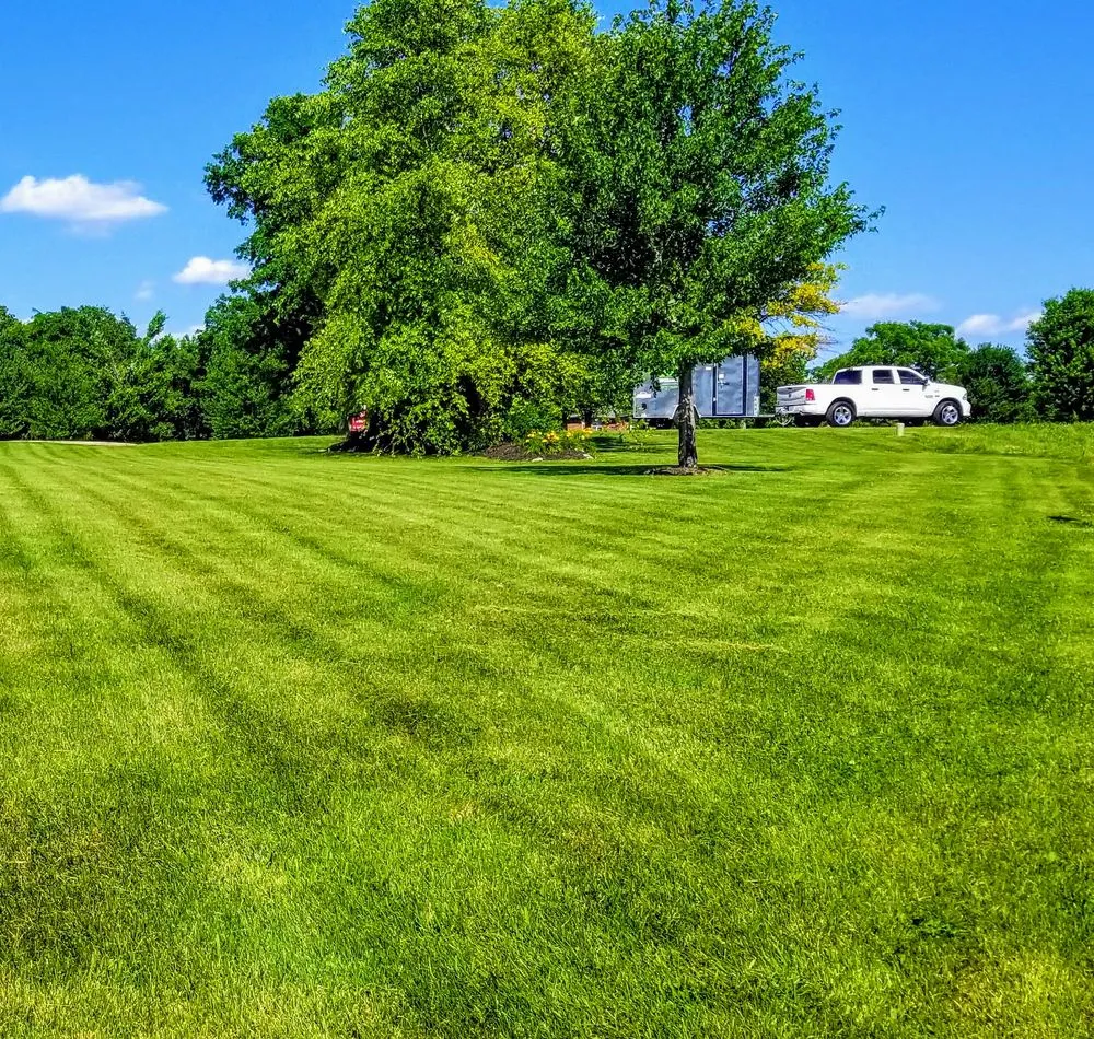 Reliable lawn care service experts serving Willard, MO - Willard Lawn