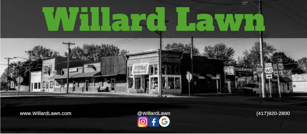 Expert landscape installation in Willard, MO by Willard Lawn