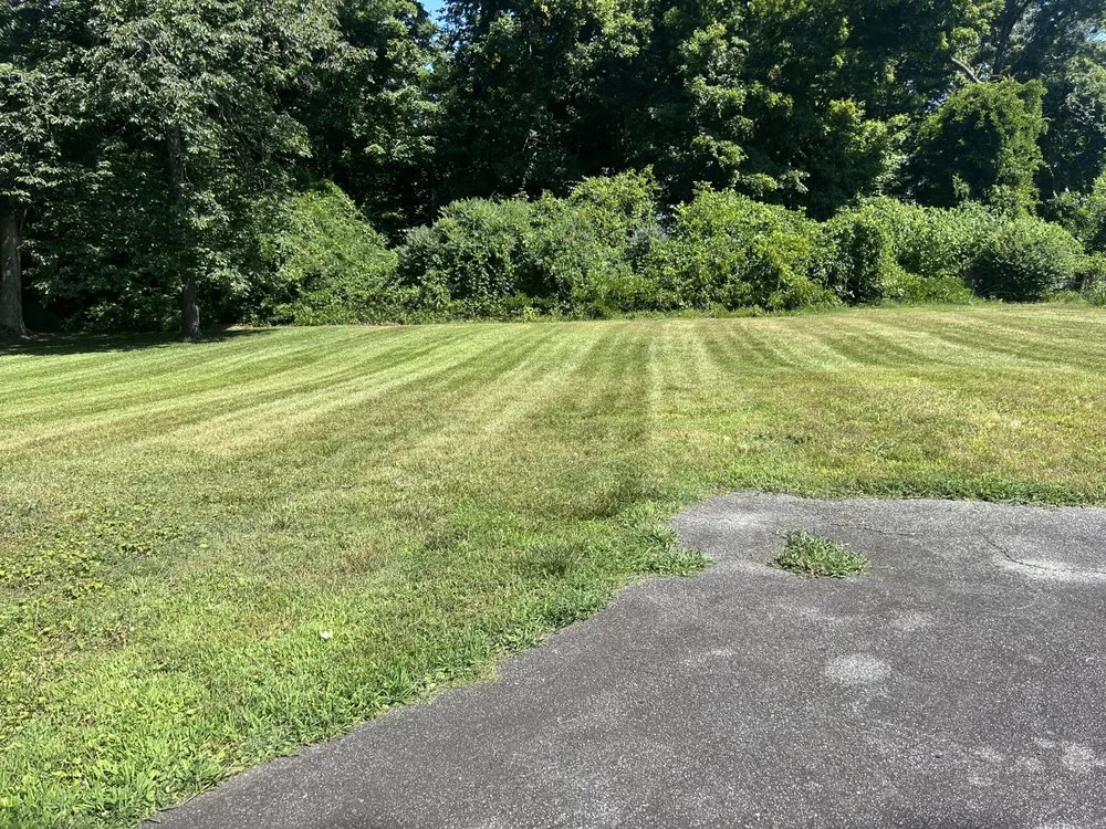 Expert outdoor landscaping for year-round maintenance across Greensboro, NC - Willard Property Services