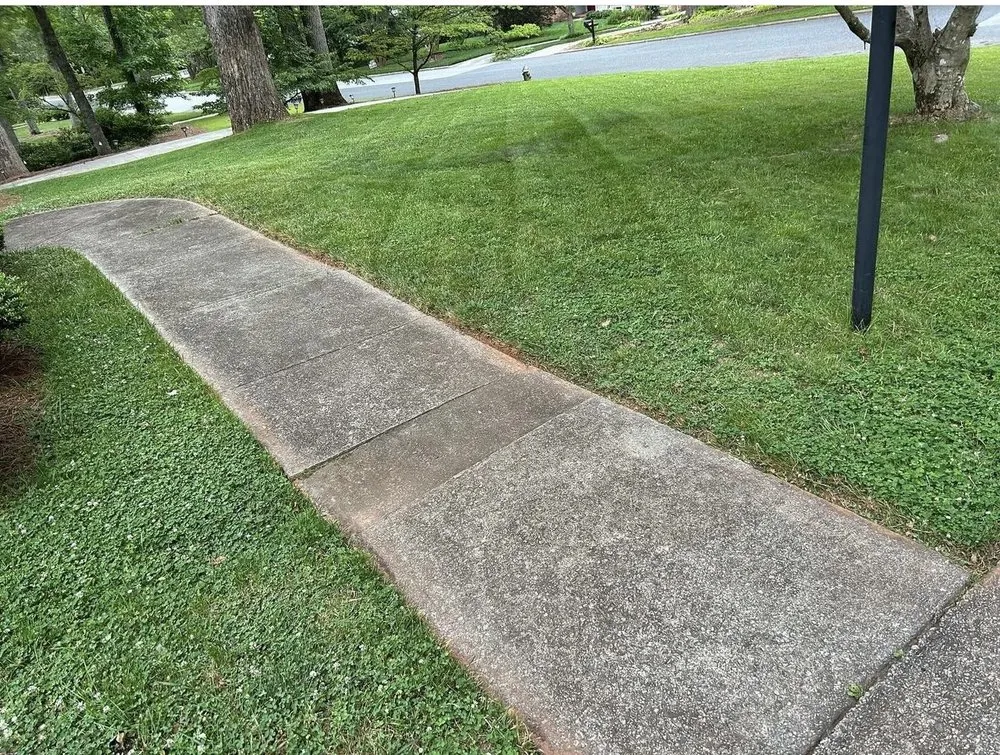 Professional landscape installation in Greensboro, NC - Willard Property Services