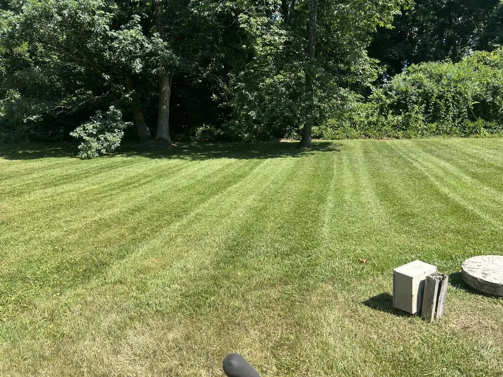 Expert lawn care service in Greensboro, NC - Willard Property Services