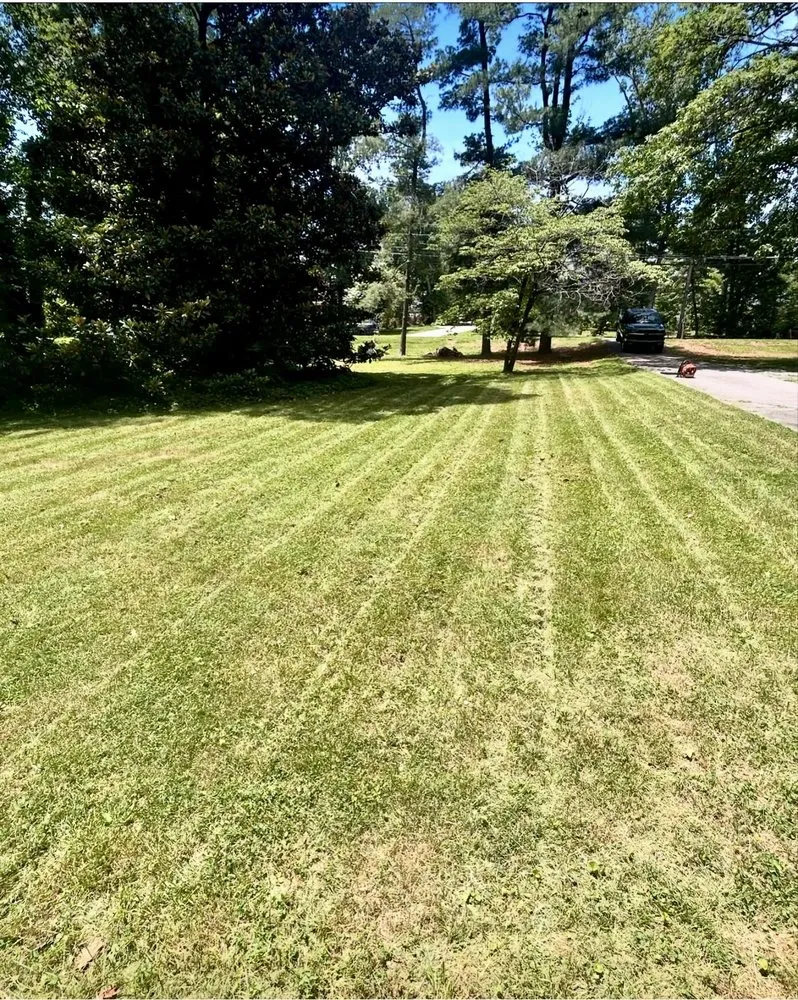 Affordable landscaping services in Greensboro, NC - Willard Property Services