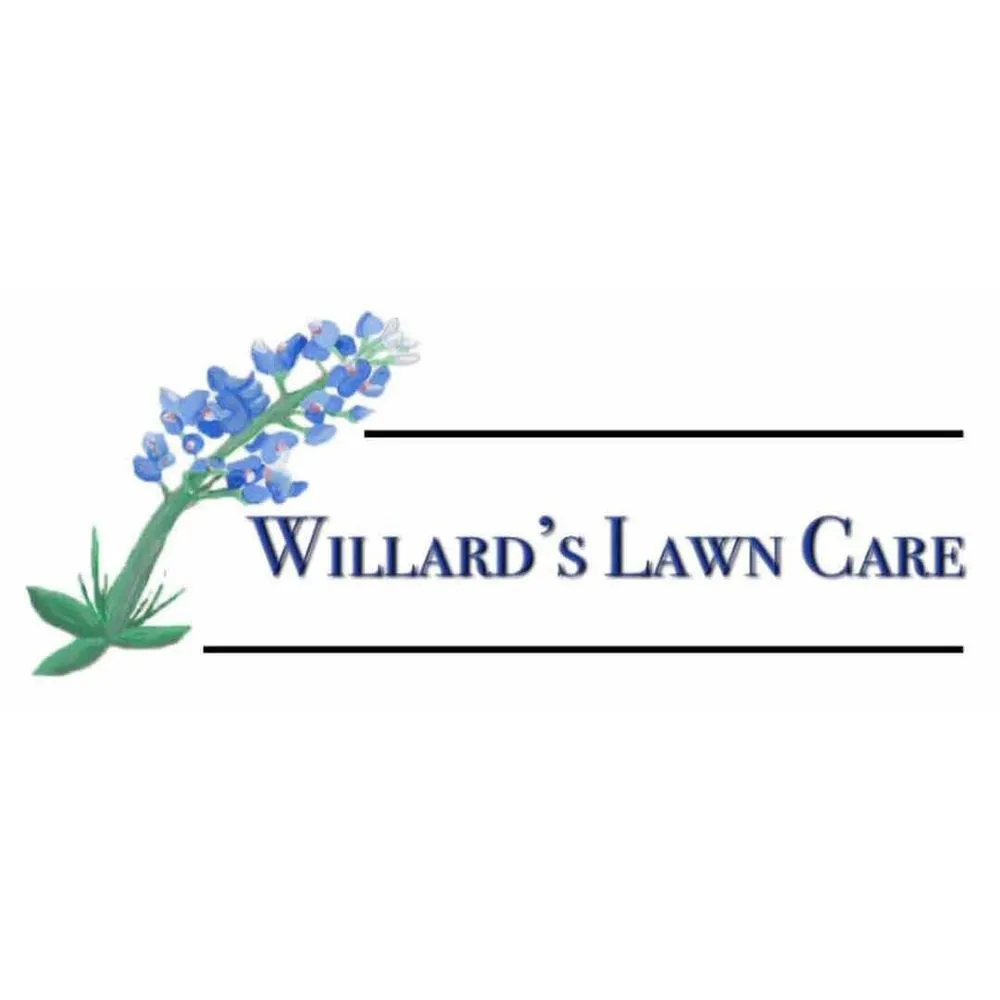 Affordable yard cleanup service in Belton, TX - Willard's Lawn Care