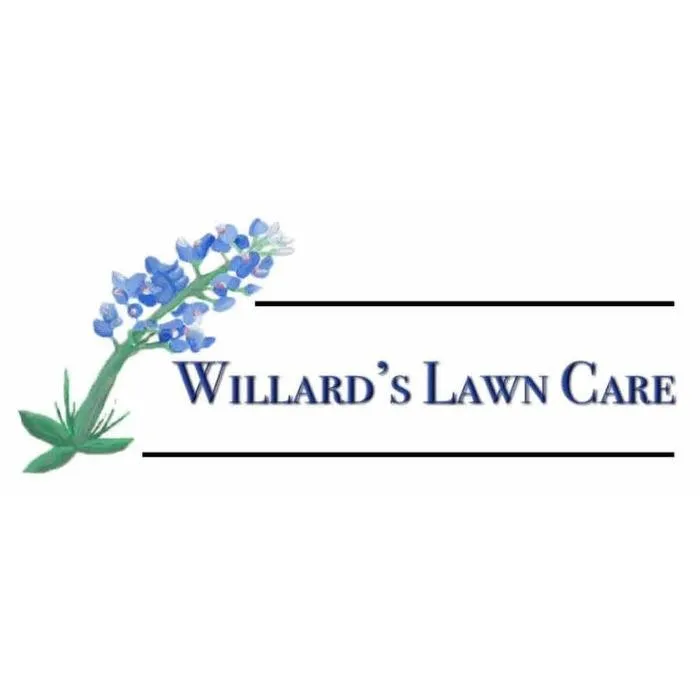 Top-rated landscape design experts serving Belton, TX - Willard's Lawn Care