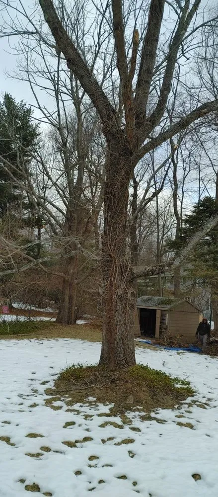 Affordable landscape design for outdoor upgrades in Ashland, MA by Willcam Plus Construction