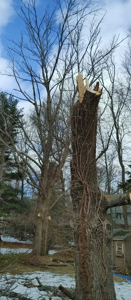 Expert garden landscaping for year-round maintenance in Ashland, MA by Willcam Plus Construction