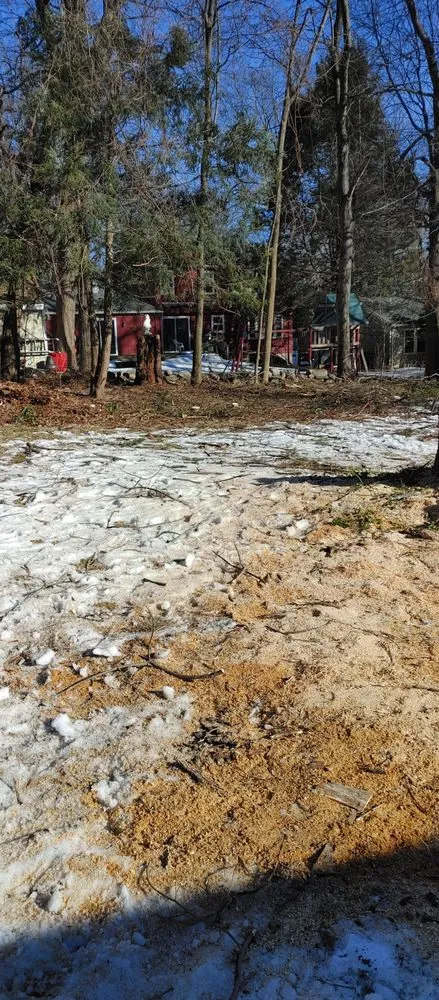 Professional yard cleanup service in Ashland, MA by Willcam Plus Construction