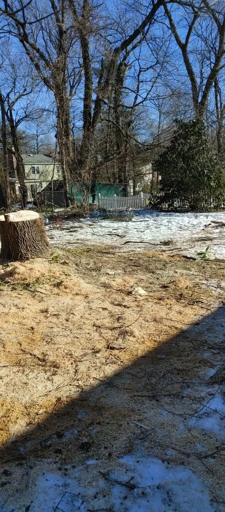 Expert outdoor landscaping in Ashland, MA by Willcam Plus Construction