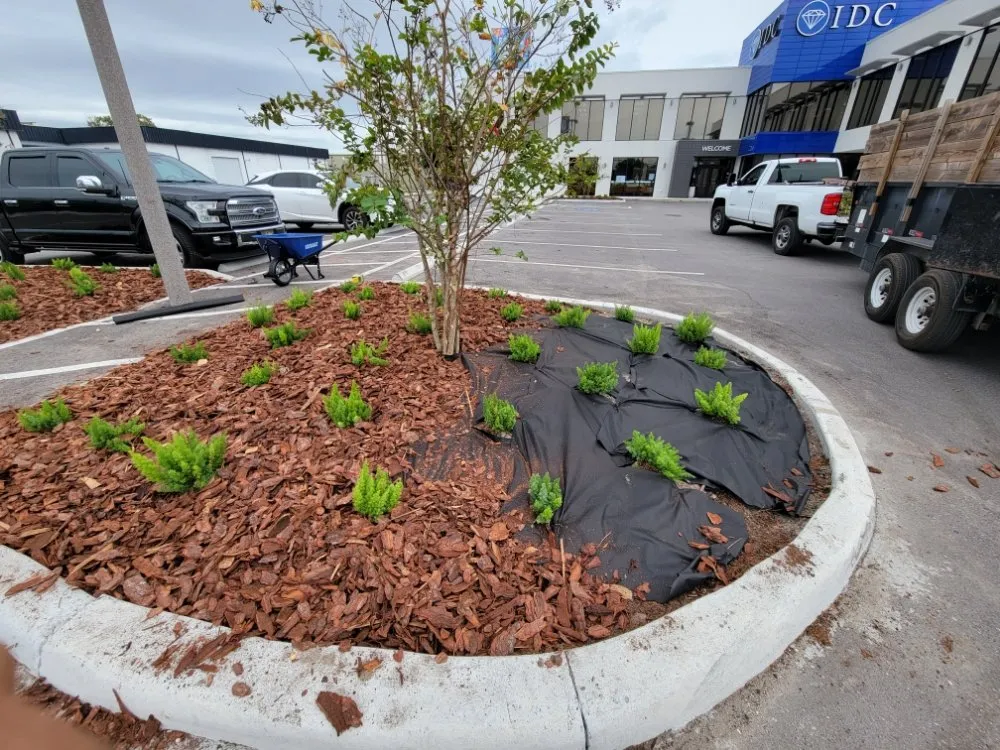 Custom yard maintenance for year-round maintenance in Clearwater, FL by Willcan