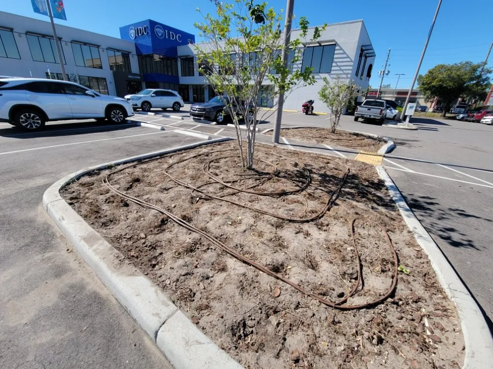 Local landscaping services in Clearwater, FL by Willcan