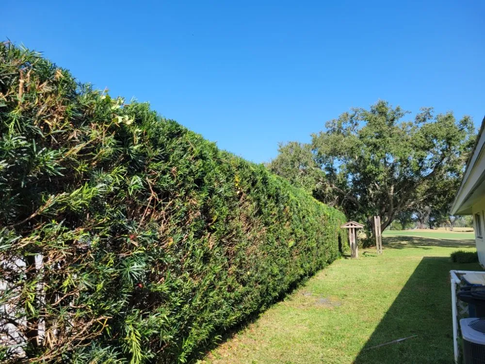 Trusted garden landscaping experts serving Clearwater, FL - Willcan