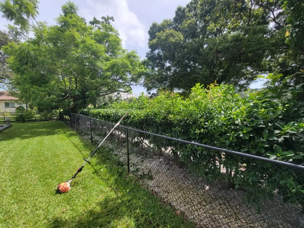 Professional landscape installation experts serving Clearwater, FL - Willcan