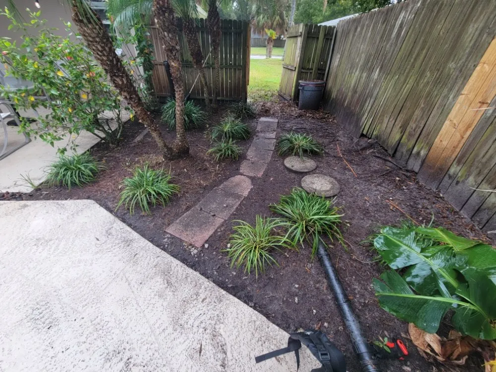 Trusted yard cleanup service experts serving Clearwater, FL - Willcan