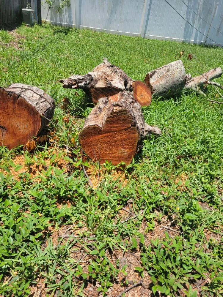 Expert landscape installation for beautiful yards in Clearwater, FL by Willcan