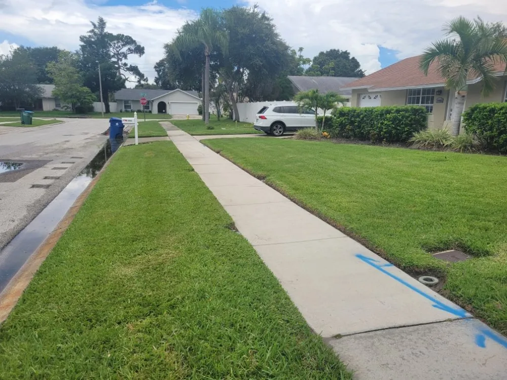 Trusted landscaping services for outdoor upgrades across Clearwater, FL - Willcan