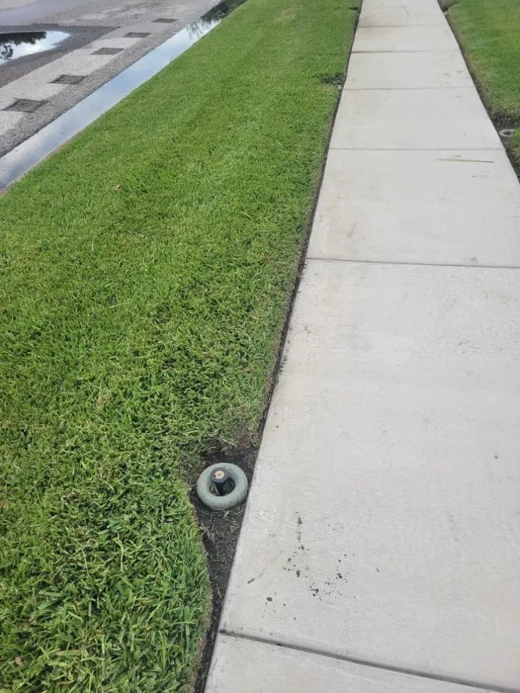 Custom residential landscaping experts serving Clearwater, FL - Willcan