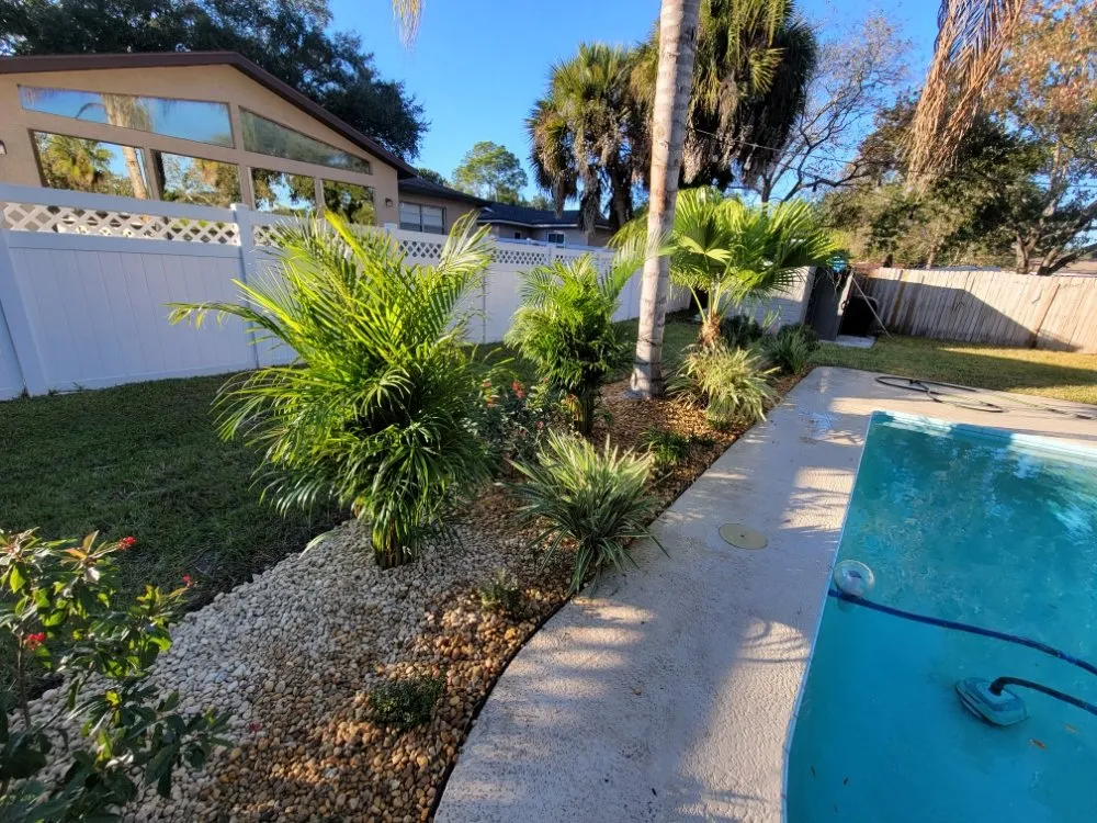 Professional yard cleanup service for beautiful yards across Clearwater, FL - Willcan