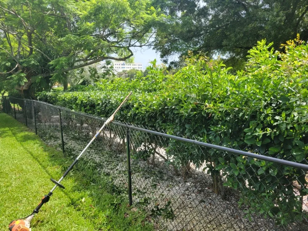 Trusted landscaping services for residential properties in Clearwater, FL by Willcan