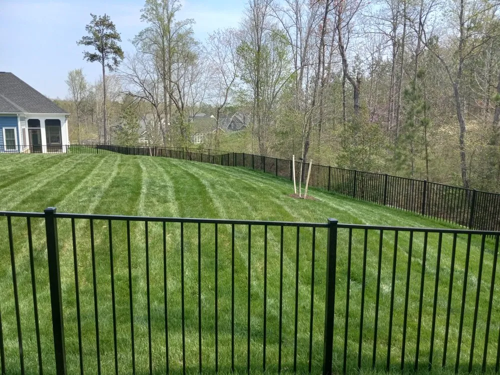 Reliable yard cleanup service with custom design across Richmond, VA - Willcutz